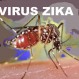 202_Virus Zika