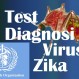 217_Diagnosi Zika