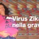 235_Zika_gravida