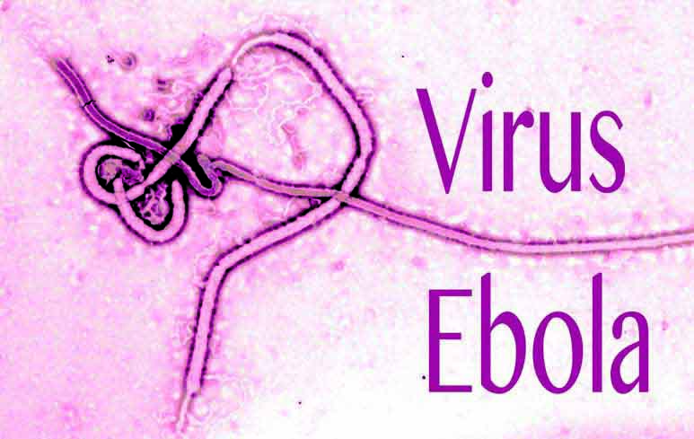287_EbolaVirus