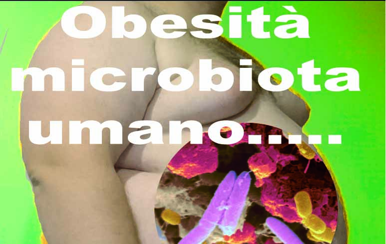 293_Obesità_microbiota