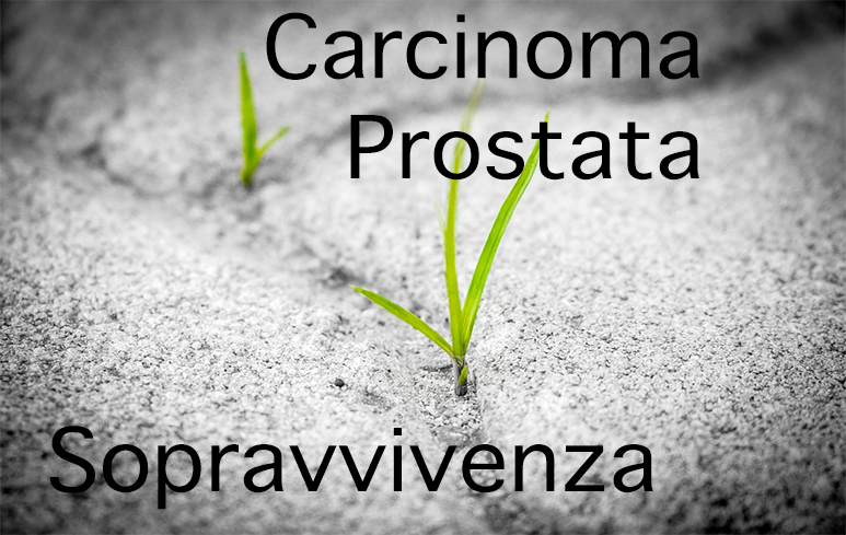 443_CarcinomaProstata