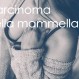 466_Carcinoma mammella