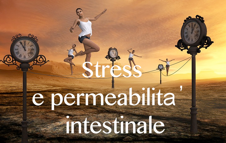527_Stress e permeabilità intestino