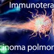 528_Immunoterapia_K polmone