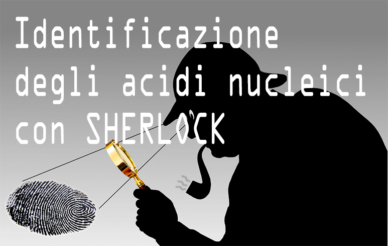 537_Sherlock