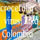 552_Virus Zika