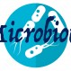 571_Microbiota