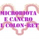 604_Microbiota