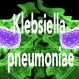 612_Klebsiella pneumoniae