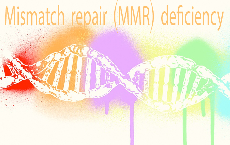 650_Mismatch repair (MMR) deficiency