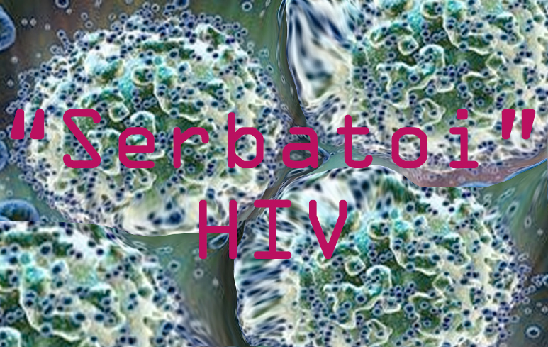951_HIV