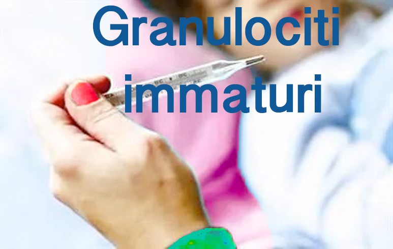 966_Granuliciti immaturi